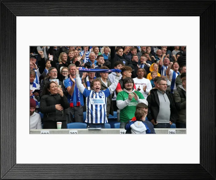 Framed Print : Brighton and Hove Albion vs. Tottenham Hotspur: Premier League Showdown at American Express Community Stadium (5th October 2019) Framed Print : Brighton and Hove Albion vs. Tottenham Hotspur: Premier League Showdown at American Express Community Stadium (5th October 2019)