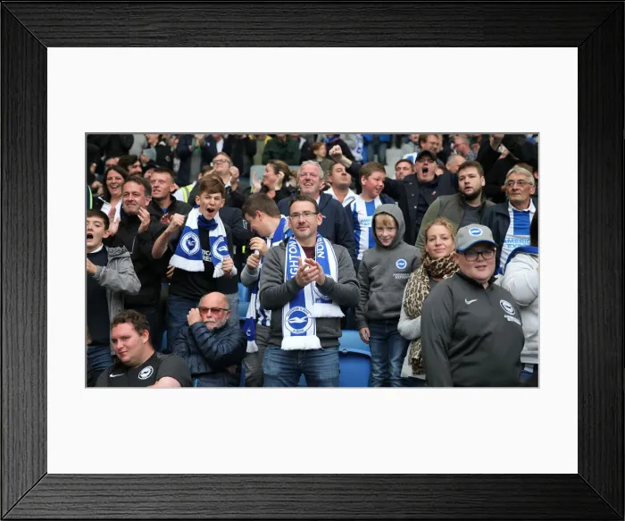 Framed Print : Brighton and Hove Albion vs. Tottenham Hotspur: Premier League Showdown at American Express Community Stadium (5th October 2019) Framed Print : Brighton and Hove Albion vs. Tottenham Hotspur: Premier League Showdown at American Express Community Stadium (5th October 2019)
