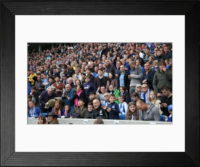 Framed Print : Brighton and Hove Albion vs. Tottenham Hotspur: Premier League Showdown at American Express Community Stadium (5th October 2019) Framed Print : Brighton and Hove Albion vs. Tottenham Hotspur: Premier League Showdown at American Express Community Stadium (5th October 2019)