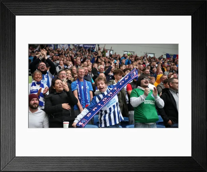 Framed Print : Brighton and Hove Albion vs. Tottenham Hotspur: Premier League Showdown at American Express Community Stadium (5th October 2019) Framed Print : Brighton and Hove Albion vs. Tottenham Hotspur: Premier League Showdown at American Express Community Stadium (5th October 2019)