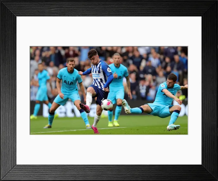 Framed Print : Brighton and Hove Albion vs. Tottenham Hotspur: Premier League Showdown at American Express Community Stadium (5th October 2019) Framed Print : Brighton and Hove Albion vs. Tottenham Hotspur: Premier League Showdown at American Express Community Stadium (5th October 2019)