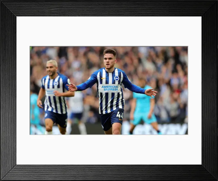 Framed Print : Brighton and Hove Albion vs. Tottenham Hotspur: Premier League Showdown at American Express Community Stadium (5th October 2019) Framed Print : Brighton and Hove Albion vs. Tottenham Hotspur: Premier League Showdown at American Express Community Stadium (5th October 2019)