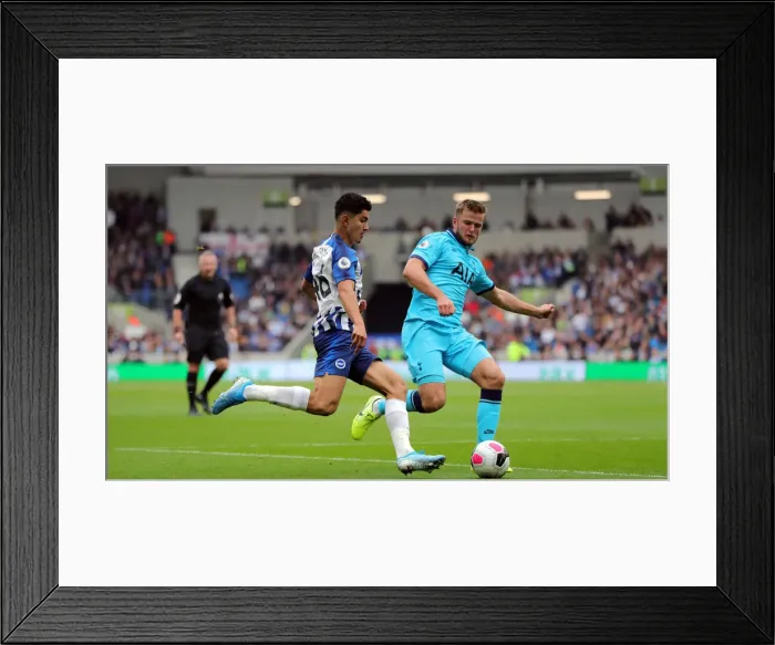 Framed Print : Brighton and Hove Albion vs. Tottenham Hotspur: Premier League Showdown at American Express Community Stadium (5th October 2019) Framed Print : Brighton and Hove Albion vs. Tottenham Hotspur: Premier League Showdown at American Express Community Stadium (5th October 2019)