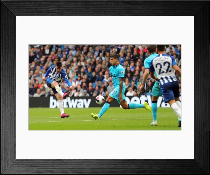 Framed Print : Brighton and Hove Albion vs. Tottenham Hotspur: Premier League Showdown at American Express Community Stadium (5th October 2019) Framed Print : Brighton and Hove Albion vs. Tottenham Hotspur: Premier League Showdown at American Express Community Stadium (5th October 2019)