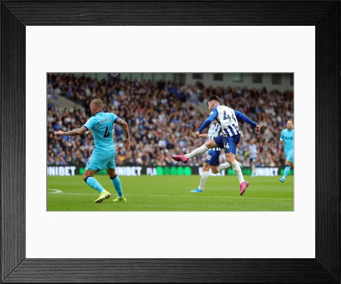 Framed Print : Brighton and Hove Albion vs. Tottenham Hotspur: Premier League Showdown at American Express Community Stadium (5th October 2019) Framed Print : Brighton and Hove Albion vs. Tottenham Hotspur: Premier League Showdown at American Express Community Stadium (5th October 2019)