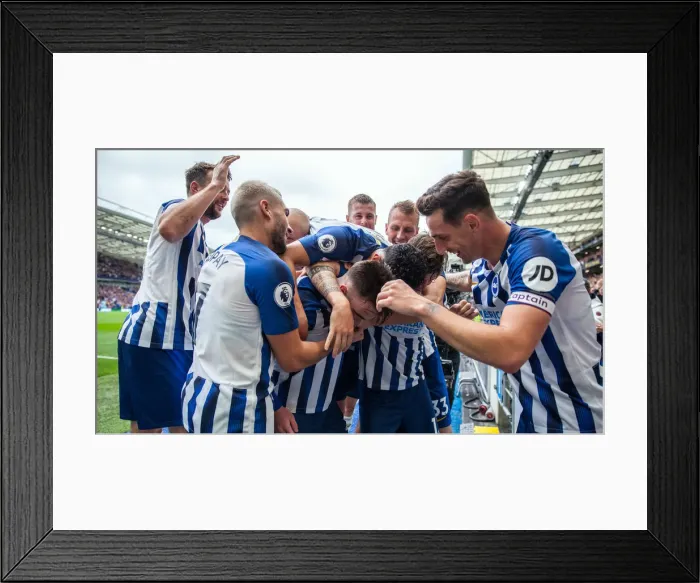Framed Print : Brighton and Hove Albion vs. Tottenham Hotspur: Premier League Showdown at American Express Community Stadium (5th October 2019) Framed Print : Brighton and Hove Albion vs. Tottenham Hotspur: Premier League Showdown at American Express Community Stadium (5th October 2019)