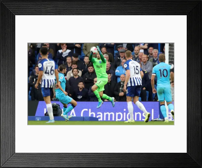 Framed Print : Brighton and Hove Albion vs. Tottenham Hotspur: Premier League Showdown at American Express Community Stadium (05OCT19) Framed Print : Brighton and Hove Albion vs. Tottenham Hotspur: Premier League Showdown at American Express Community Stadium (05OCT19)