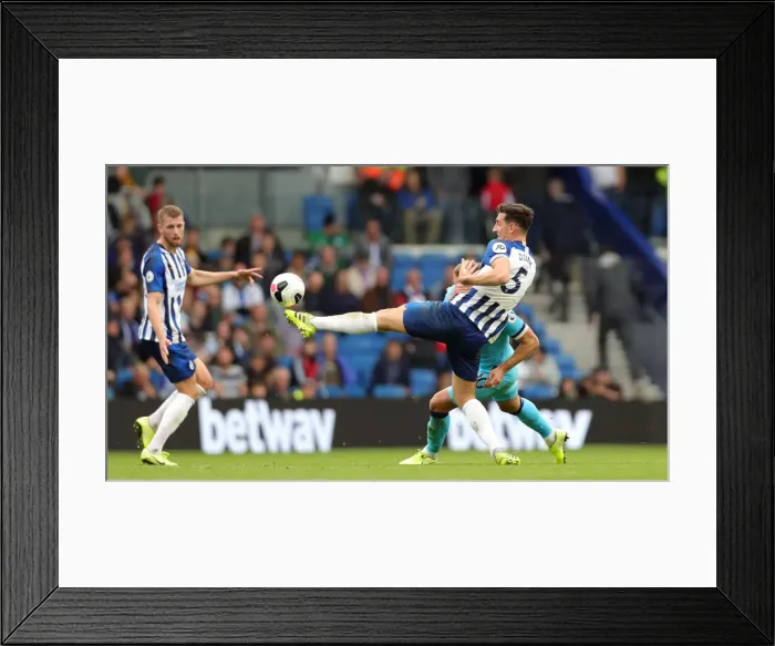 Framed Print : Brighton and Hove Albion vs. Tottenham Hotspur: Premier League Showdown at American Express Community Stadium (5th October 2019)