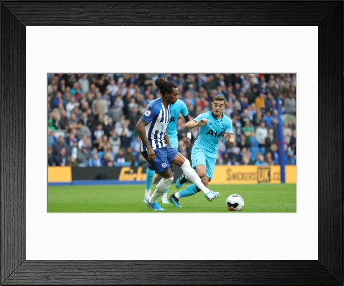 Framed Print : Brighton & Hove Albion vs. Tottenham Hotspur: Premier League Showdown at American Express Community Stadium (5th October 2019) Framed Print : Brighton & Hove Albion vs. Tottenham Hotspur: Premier League Showdown at American Express Community Stadium (5th October 2019)