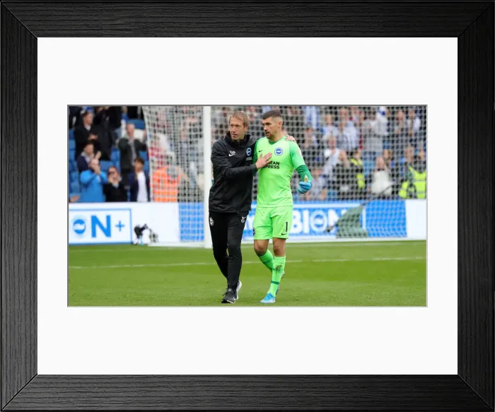 Framed Print : Brighton & Hove Albion vs. Tottenham Hotspur: Premier League Showdown at American Express Community Stadium (5th October 2019) Framed Print : Brighton & Hove Albion vs. Tottenham Hotspur: Premier League Showdown at American Express Community Stadium (5th October 2019)