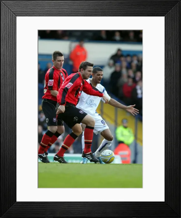 Framed Print : Brighton & Hove Albion FC: 2009-10 Away Games at Leeds United Framed Print : Brighton & Hove Albion FC: 2009-10 Away Games at Leeds United