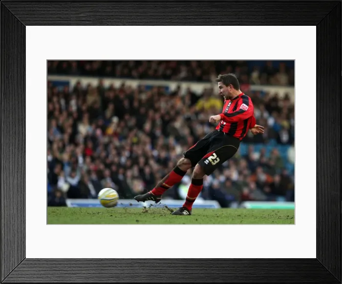Framed Print : Brighton and Hove Albion Away Games at Leeds United: 2009-10 Season Framed Print : Brighton and Hove Albion Away Games at Leeds United: 2009-10 Season