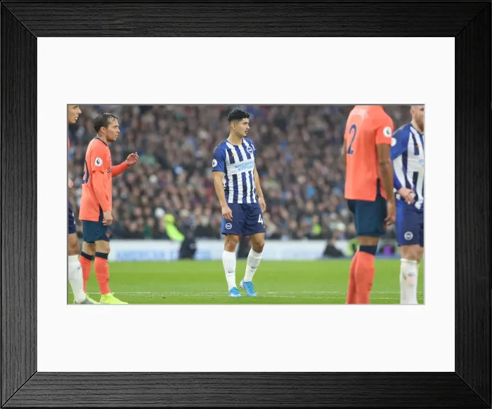 Framed Print : Brighton and Hove Albion vs. Everton: Premier League Showdown at American Express Community Stadium (26OCT19) Framed Print : Brighton and Hove Albion vs. Everton: Premier League Showdown at American Express Community Stadium (26OCT19)
