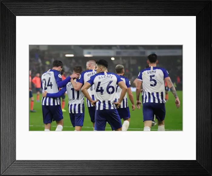 Framed Print : Brighton and Hove Albion vs. Everton: Premier League Showdown at American Express Community Stadium (26OCT19)