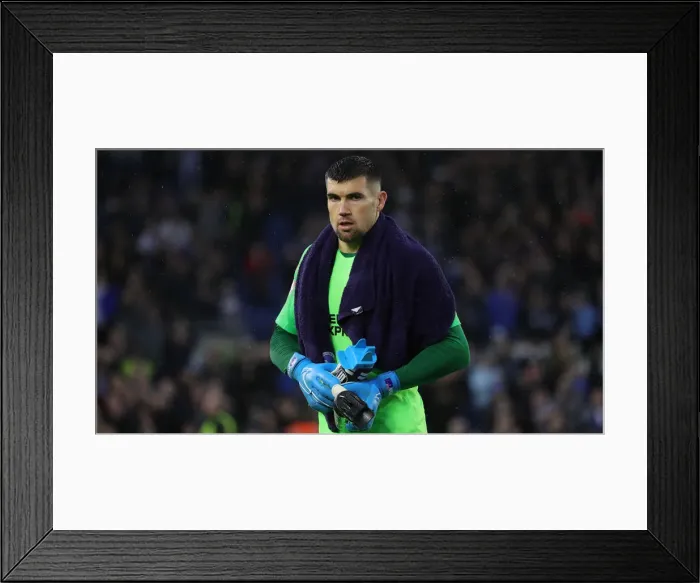 Framed Print : Brighton and Hove Albion vs. Everton: A Premier League Showdown at American Express Community Stadium (26OCT19) Framed Print : Brighton and Hove Albion vs. Everton: A Premier League Showdown at American Express Community Stadium (26OCT19)