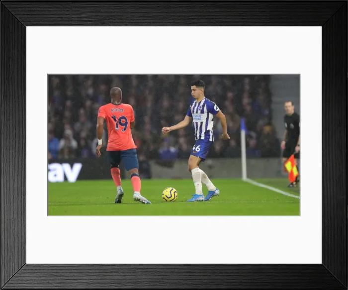 Framed Print : Brighton and Hove Albion vs. Everton: A Premier League Showdown at American Express Community Stadium (October 2019) Framed Print : Brighton and Hove Albion vs. Everton: A Premier League Showdown at American Express Community Stadium (October 2019)