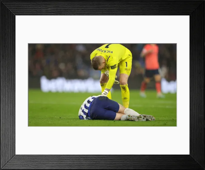 Framed Print : Brighton and Hove Albion vs. Everton: Premier League Showdown at American Express Community Stadium (26OCT19) Framed Print : Brighton and Hove Albion vs. Everton: Premier League Showdown at American Express Community Stadium (26OCT19)