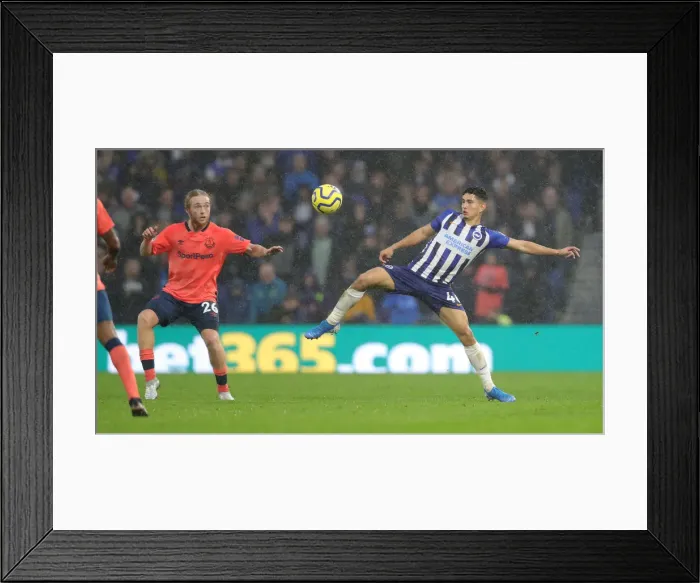 Framed Print : Brighton and Hove Albion vs. Everton: A Premier League Showdown at American Express Community Stadium (26OCT19) Framed Print : Brighton and Hove Albion vs. Everton: A Premier League Showdown at American Express Community Stadium (26OCT19)