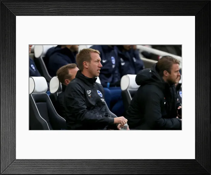 Framed Print : Brighton and Hove Albion vs. Norwich City: Premier League Showdown at American Express Community Stadium - November 2019 Framed Print : Brighton and Hove Albion vs. Norwich City: Premier League Showdown at American Express Community Stadium - November 2019