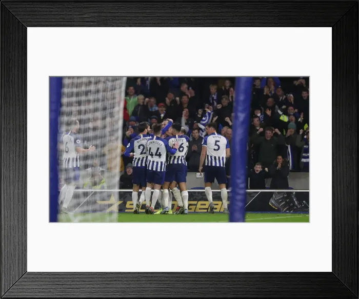 Framed Print : Brighton and Hove Albion vs Norwich City: Premier League Showdown at American Express Community Stadium (November 2019) Framed Print : Brighton and Hove Albion vs Norwich City: Premier League Showdown at American Express Community Stadium (November 2019)