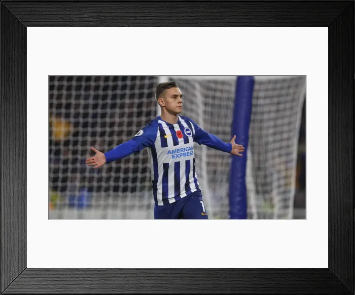Framed Print : Brighton and Hove Albion vs. Norwich City: Premier League Showdown at American Express Community Stadium (November 2019) Framed Print : Brighton and Hove Albion vs. Norwich City: Premier League Showdown at American Express Community Stadium (November 2019)