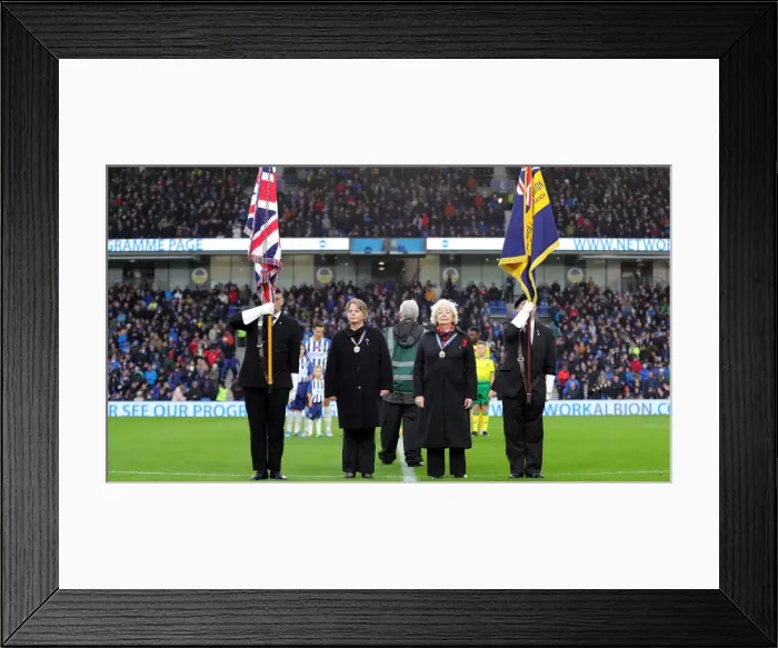 Framed Print : Brighton and Hove Albion vs. Norwich City: Premier League Showdown at American Express Community Stadium (November 2019) Framed Print : Brighton and Hove Albion vs. Norwich City: Premier League Showdown at American Express Community Stadium (November 2019)