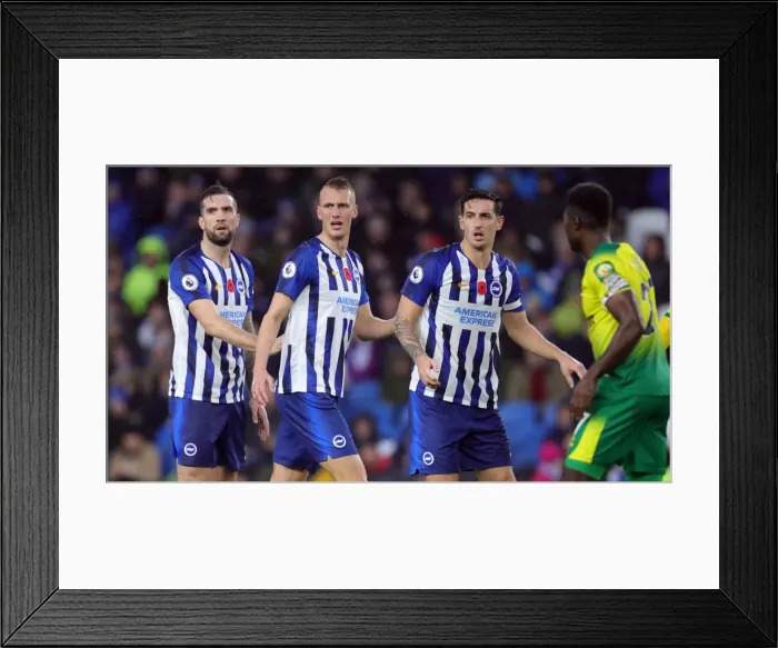 Framed Print : Brighton and Hove Albion vs. Norwich City: Premier League Showdown at American Express Community Stadium (November 2, 2019) Framed Print : Brighton and Hove Albion vs. Norwich City: Premier League Showdown at American Express Community Stadium (November 2, 2019)
