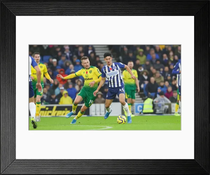 Framed Print : Brighton and Hove Albion vs. Norwich City: Premier League Showdown at American Express Community Stadium (November 2, 2019) Framed Print : Brighton and Hove Albion vs. Norwich City: Premier League Showdown at American Express Community Stadium (November 2, 2019)