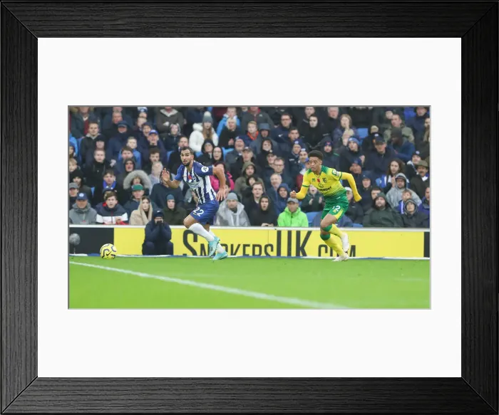 Framed Print : Brighton and Hove Albion vs. Norwich City: Premier League Showdown at American Express Community Stadium (November 2, 2019) Framed Print : Brighton and Hove Albion vs. Norwich City: Premier League Showdown at American Express Community Stadium (November 2, 2019)