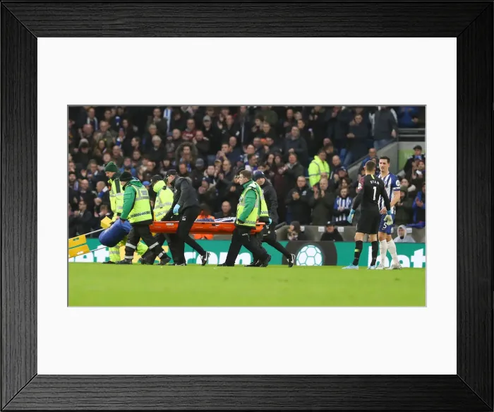 Framed Print : Brighton and Hove Albion vs. Norwich City: Premier League Showdown at American Express Community Stadium (November 2, 2019) Framed Print : Brighton and Hove Albion vs. Norwich City: Premier League Showdown at American Express Community Stadium (November 2, 2019)