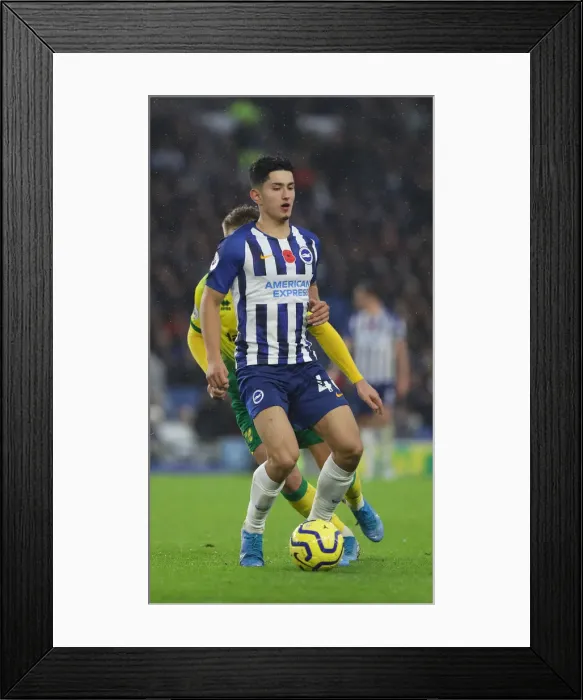 Framed Print : Brighton and Hove Albion vs. Norwich City: Premier League Showdown at American Express Community Stadium (November 2, 2019) Framed Print : Brighton and Hove Albion vs. Norwich City: Premier League Showdown at American Express Community Stadium (November 2, 2019)