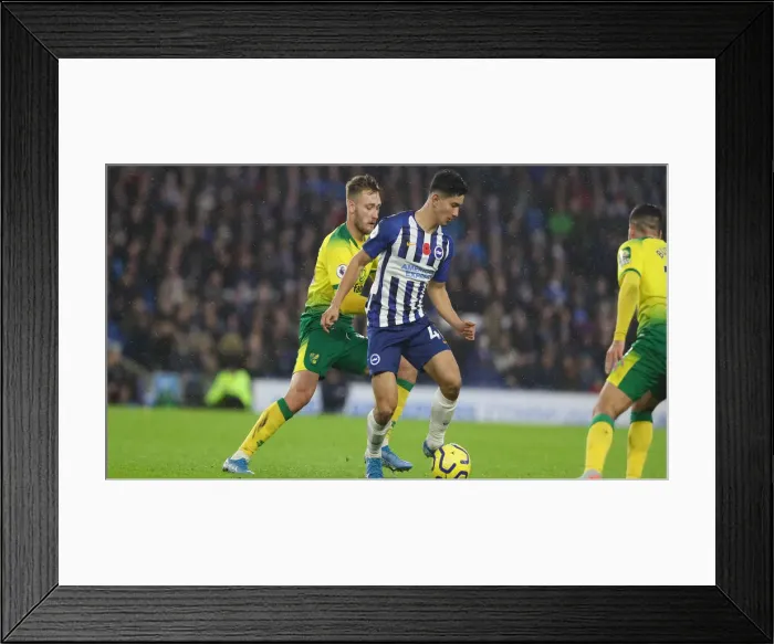 Framed Print : Brighton and Hove Albion vs. Norwich City: Premier League Showdown at American Express Community Stadium (November 2, 2019)