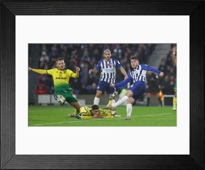 Framed Print : Brighton and Hove Albion vs. Norwich City: Premier League Showdown at American Express Community Stadium (November 2, 2019) Framed Print : Brighton and Hove Albion vs. Norwich City: Premier League Showdown at American Express Community Stadium (November 2, 2019)