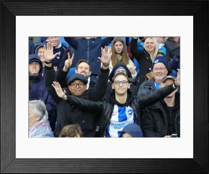 Framed Print : Brighton & Hove Albion vs. Norwich City: Premier League Showdown at American Express Community Stadium (November 2, 2019) Framed Print : Brighton & Hove Albion vs. Norwich City: Premier League Showdown at American Express Community Stadium (November 2, 2019)