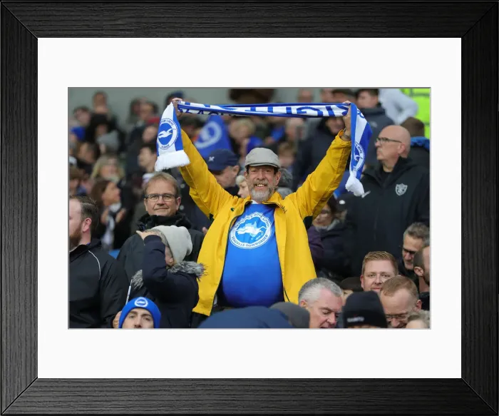 Framed Print : Brighton and Hove Albion vs. Norwich City: Premier League Showdown at American Express Community Stadium (November 2, 2019) Framed Print : Brighton and Hove Albion vs. Norwich City: Premier League Showdown at American Express Community Stadium (November 2, 2019)