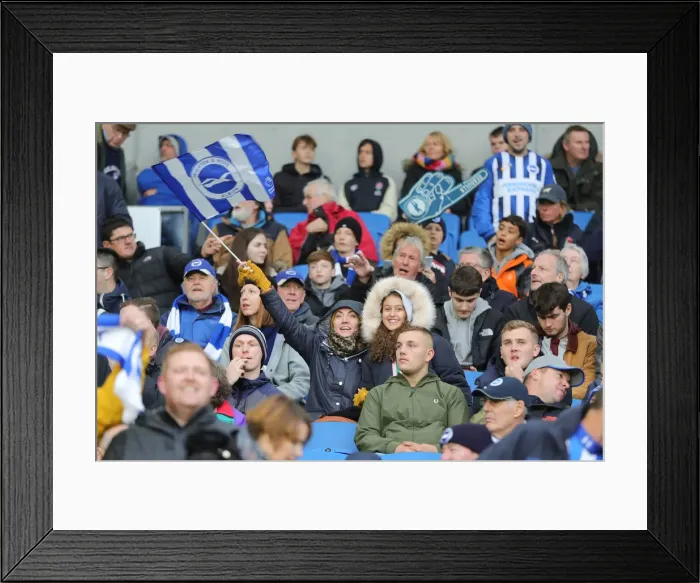 Framed Print : Brighton and Hove Albion vs. Norwich City: Premier League Showdown at American Express Community Stadium (November 2, 2019) Framed Print : Brighton and Hove Albion vs. Norwich City: Premier League Showdown at American Express Community Stadium (November 2, 2019)