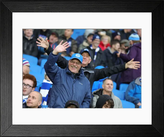 Framed Print : Brighton and Hove Albion vs Norwich City: Premier League Showdown at American Express Community Stadium (November 2, 2019) Framed Print : Brighton and Hove Albion vs Norwich City: Premier League Showdown at American Express Community Stadium (November 2, 2019)