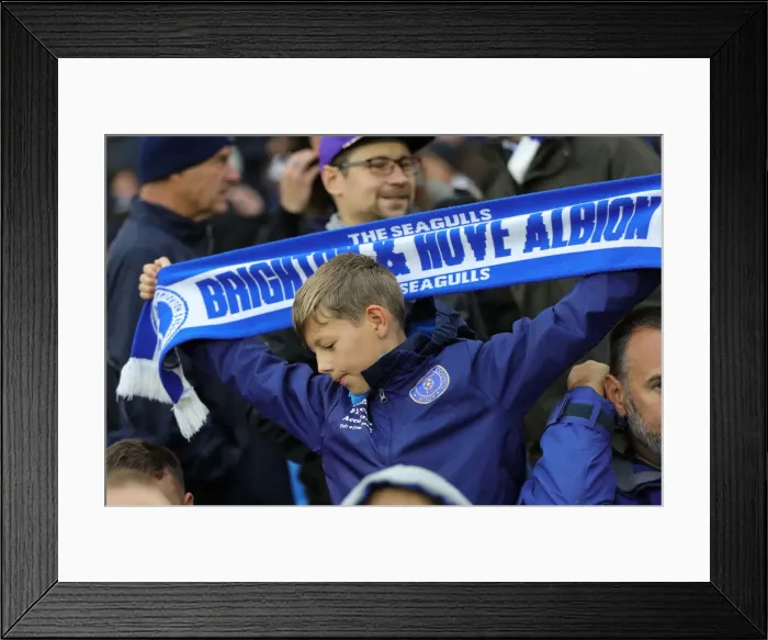 Framed Print : Brighton and Hove Albion vs. Norwich City: Premier League Showdown at American Express Community Stadium (November 2, 2019) Framed Print : Brighton and Hove Albion vs. Norwich City: Premier League Showdown at American Express Community Stadium (November 2, 2019)