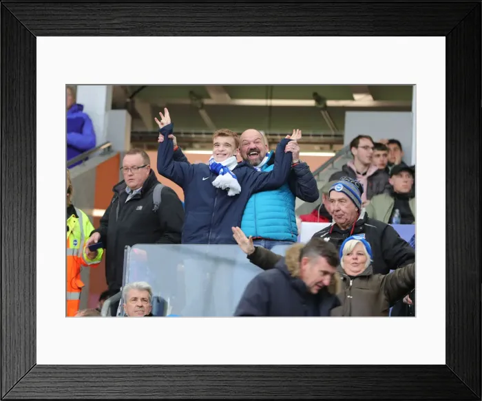 Framed Print : Brighton and Hove Albion vs. Norwich City: Premier League Showdown at American Express Community Stadium (November 2, 2019) Framed Print : Brighton and Hove Albion vs. Norwich City: Premier League Showdown at American Express Community Stadium (November 2, 2019)