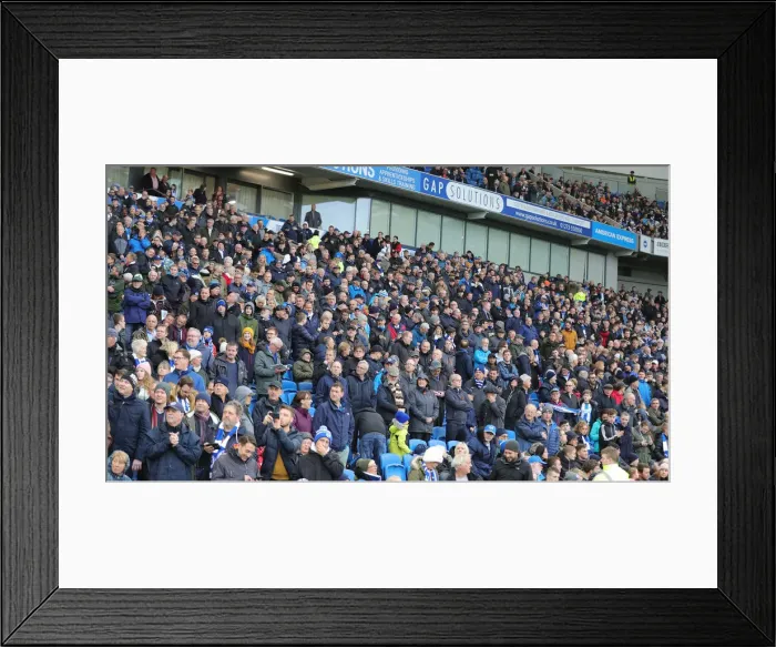 Framed Print : Brighton and Hove Albion vs. Norwich City: Premier League Showdown at American Express Community Stadium (November 2, 2019) Framed Print : Brighton and Hove Albion vs. Norwich City: Premier League Showdown at American Express Community Stadium (November 2, 2019)