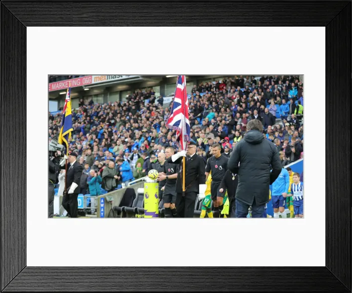 Framed Print : Brighton and Hove Albion vs. Norwich City: Premier League Showdown at American Express Community Stadium (November 2, 2019) Framed Print : Brighton and Hove Albion vs. Norwich City: Premier League Showdown at American Express Community Stadium (November 2, 2019)
