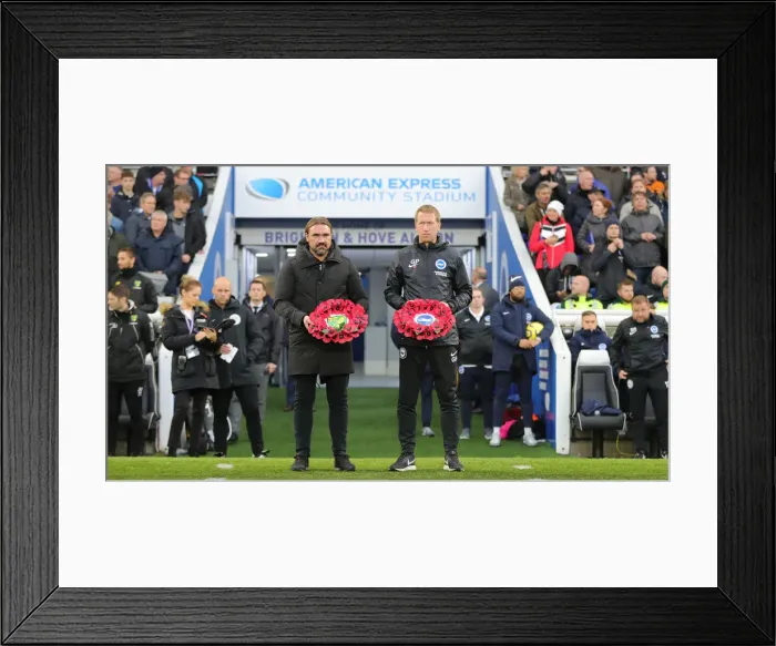 Framed Print : Brighton and Hove Albion vs. Norwich City: Premier League Showdown at American Express Community Stadium (November 2, 2019) Framed Print : Brighton and Hove Albion vs. Norwich City: Premier League Showdown at American Express Community Stadium (November 2, 2019)