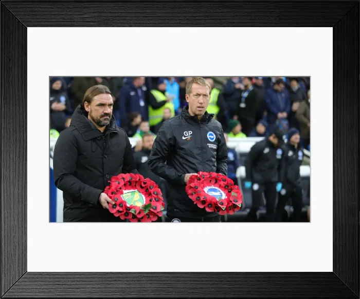 Framed Print : Brighton and Hove Albion vs Norwich City: Premier League Showdown at American Express Community Stadium (November 2, 2019) Framed Print : Brighton and Hove Albion vs Norwich City: Premier League Showdown at American Express Community Stadium (November 2, 2019)