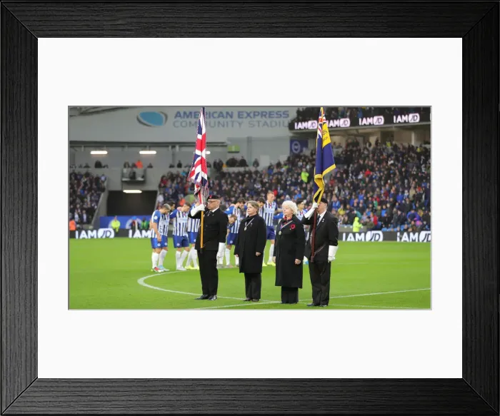 Framed Print : Brighton and Hove Albion vs Norwich City: Premier League Showdown at American Express Community Stadium (November 2, 2019) Framed Print : Brighton and Hove Albion vs Norwich City: Premier League Showdown at American Express Community Stadium (November 2, 2019)