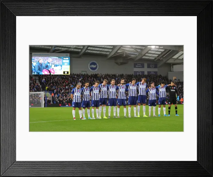 Framed Print : Brighton and Hove Albion vs. Norwich City: Premier League Showdown at American Express Community Stadium (November 2, 2019) Framed Print : Brighton and Hove Albion vs. Norwich City: Premier League Showdown at American Express Community Stadium (November 2, 2019)