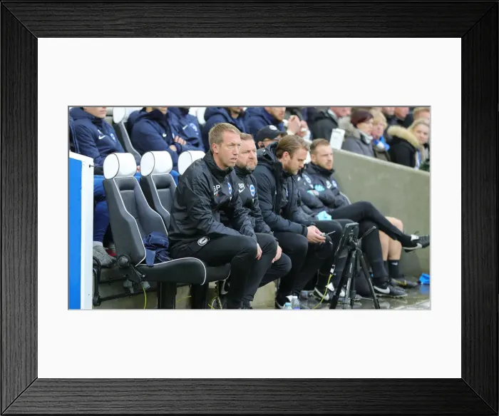 Framed Print : Brighton and Hove Albion vs. Norwich City: Premier League Showdown at American Express Community Stadium (November 2, 2019) Framed Print : Brighton and Hove Albion vs. Norwich City: Premier League Showdown at American Express Community Stadium (November 2, 2019)