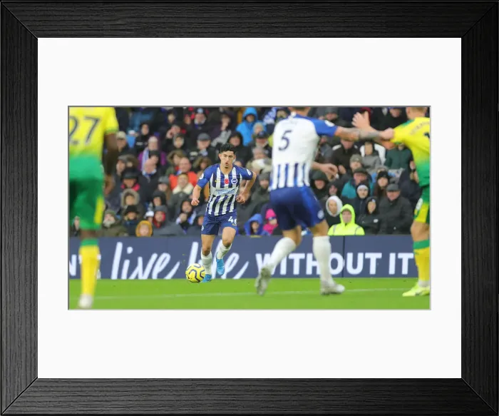 Framed Print : Premier League Showdown: Brighton & Hove Albion vs. Norwich City (November 2, 2019) Framed Print : Premier League Showdown: Brighton & Hove Albion vs. Norwich City (November 2, 2019)