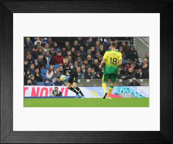 Framed Print : Brighton and Hove Albion vs. Norwich City: Premier League Showdown at American Express Community Stadium (November 2, 2019) Framed Print : Brighton and Hove Albion vs. Norwich City: Premier League Showdown at American Express Community Stadium (November 2, 2019)