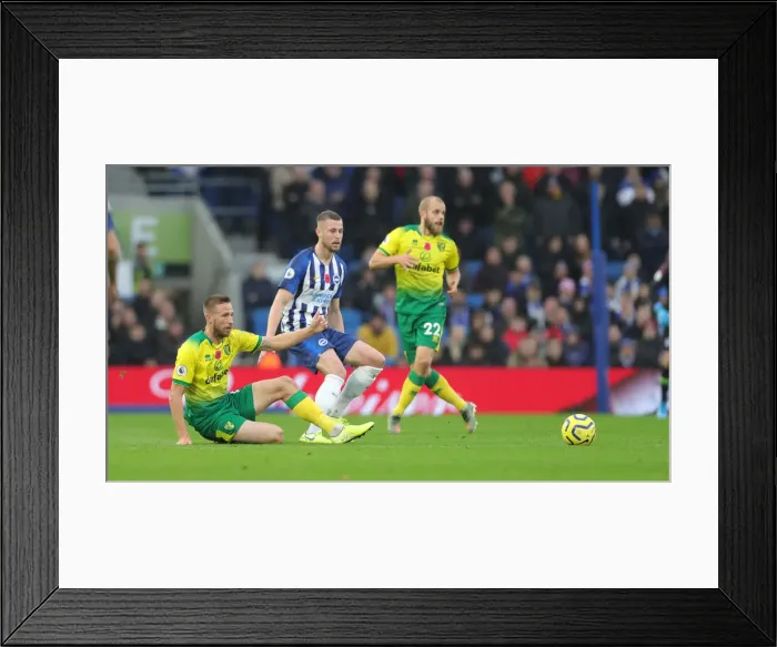 Framed Print : Brighton and Hove Albion vs. Norwich City: Premier League Showdown at American Express Community Stadium (November 2, 2019) Framed Print : Brighton and Hove Albion vs. Norwich City: Premier League Showdown at American Express Community Stadium (November 2, 2019)