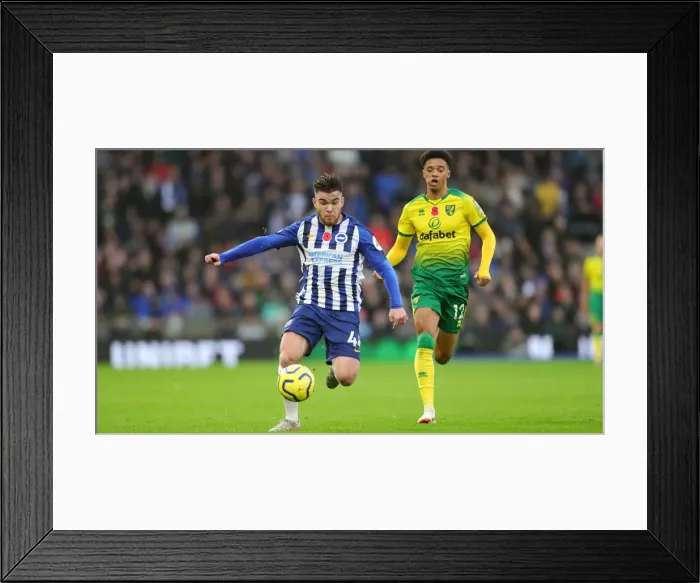 Framed Print : Brighton and Hove Albion vs. Norwich City: Premier League Showdown at American Express Community Stadium (November 2, 2019)